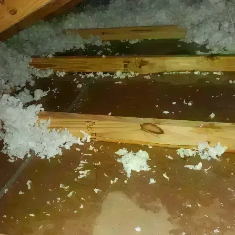 Attic Water Damage in Waynesburg, PA